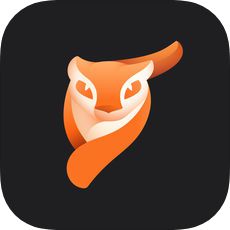 pixaloop中文版app