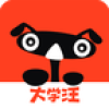大学汪