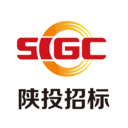 陕投招标