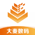 大麦app