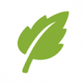 sgreen浏览器安卓版